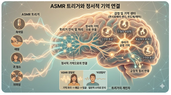 ASMR 트리거와 정서적 기억의 연결